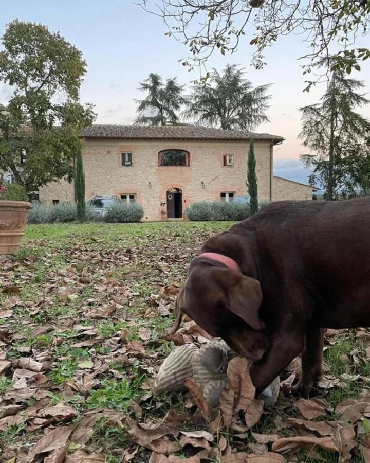 Agriturismo La Segolina Colle Val D'Elsa Bagian luar foto