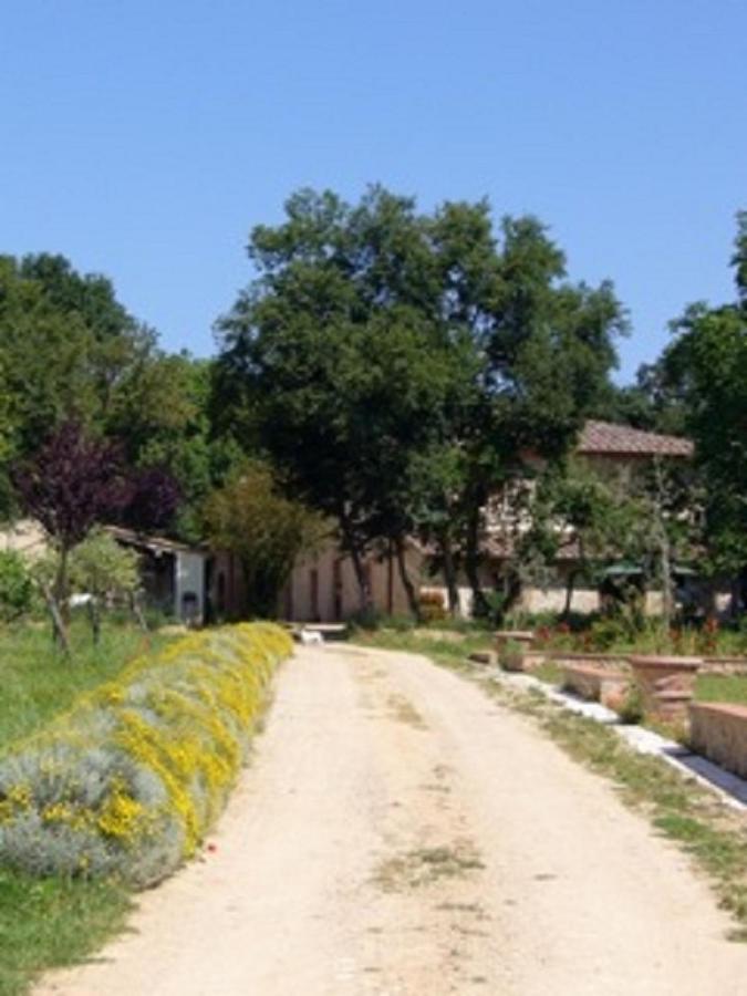 Agriturismo La Segolina Colle Val D'Elsa Bagian luar foto